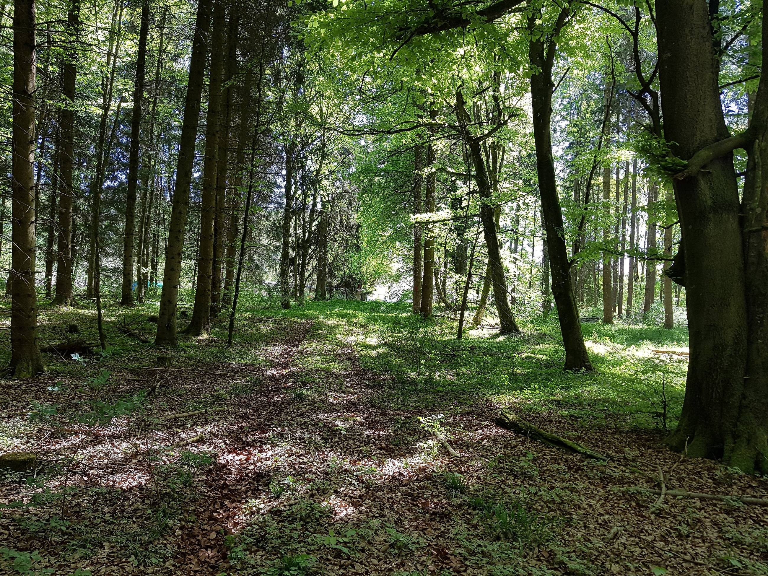 Seminarhaus Ansicht 5